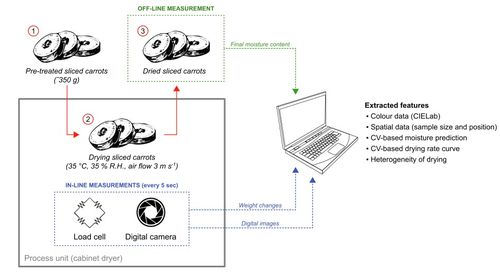 基于計算機視覺的食品干燥智能監控系統在胡蘿卜片研究中的應用軟件服務